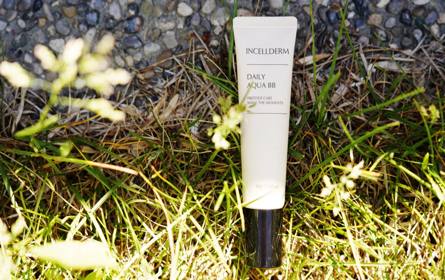 INCELLDERM Daily Aqua BB