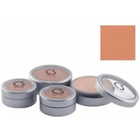 "Flawless Coverage With 503-29 Foundation .50 Oz"